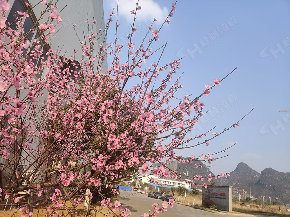 桂林鴻程花團(tuán)錦簇，滿園春色，邀您一起共賞春景，共商大計(jì)！